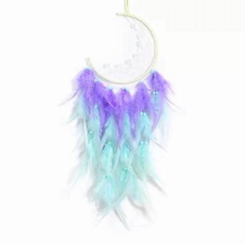 Crescent Moon Feather Dreamcatcher in Purple & Aqua